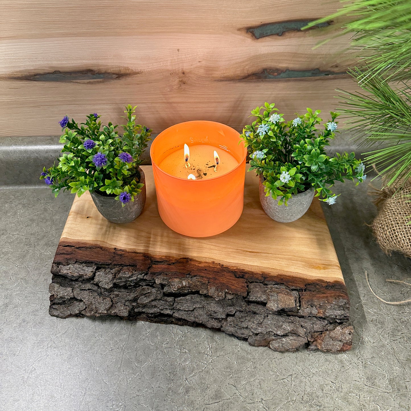 Cherry Live Edge Base