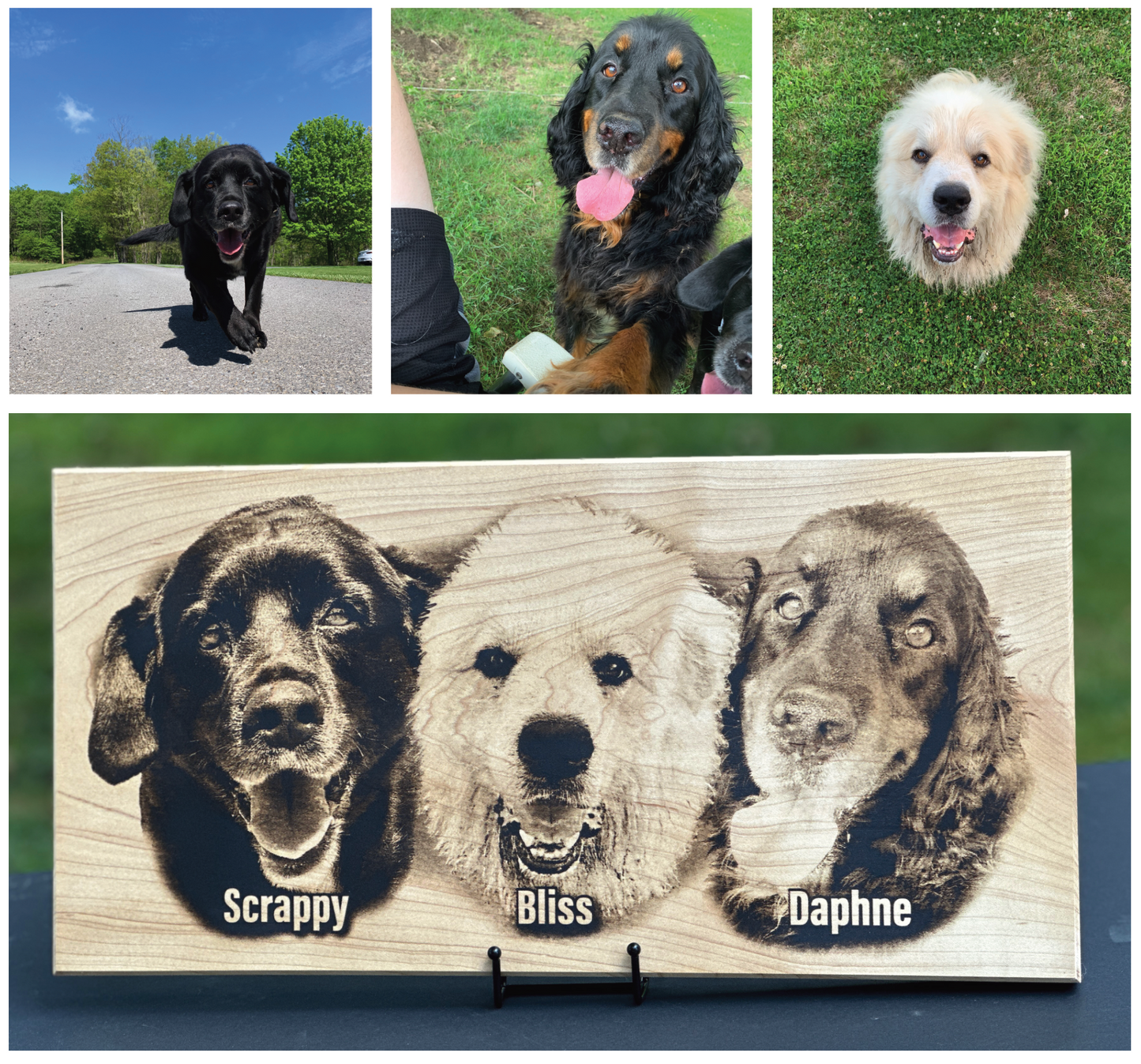 Photos Engraved on Hardwood