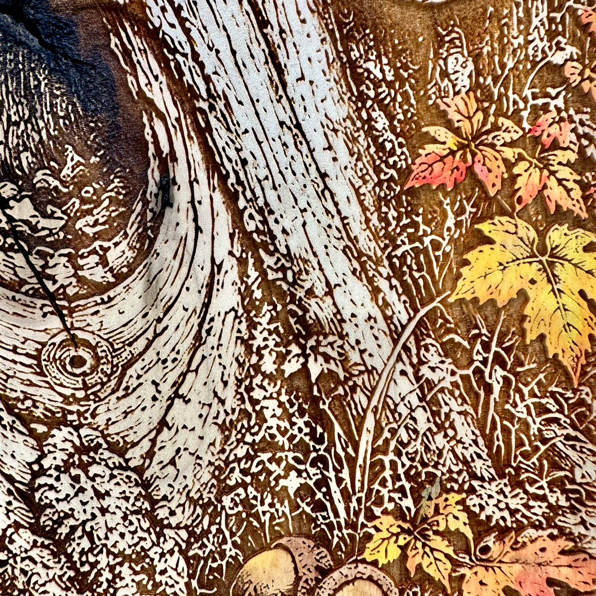 Curious Woodland Raccoon