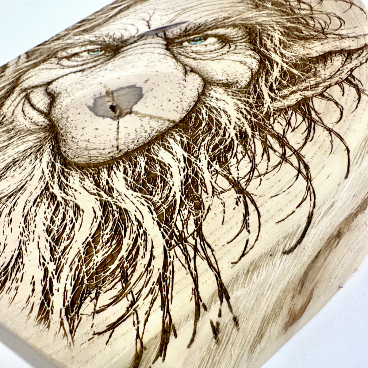 Whimsical Woodland Troll