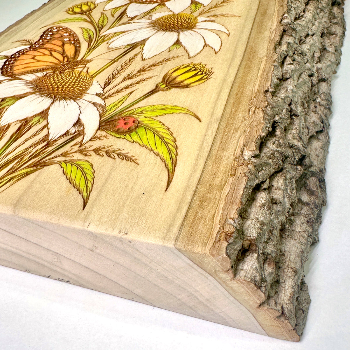 Hand-Painted Monarch Butterflies & Wildflowers