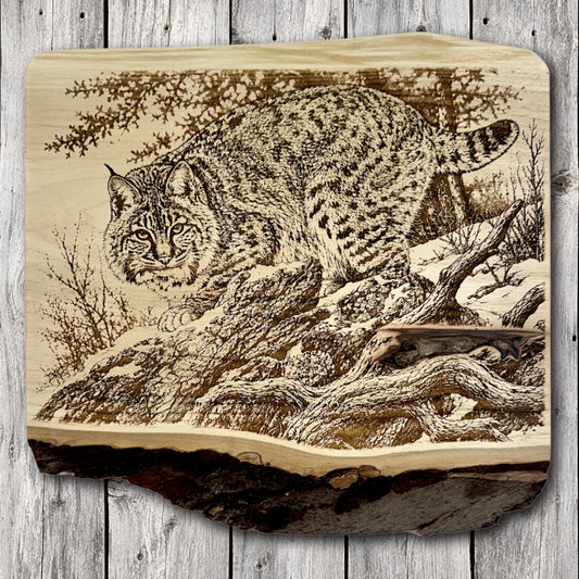 Handcrafted live edge wood wall art featuring a detailed laser engraving of a wild bobcat crouching on a fallen tree among exposed roots and rocky woodland terrain.