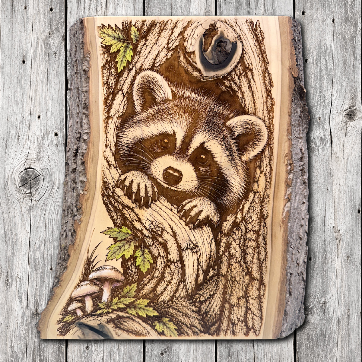 Hand-painted and laser engraved live edge wood wall art featuring a curious raccoon peeking from a hollow tree with detailed bark, green oak leaves, and woodland mushrooms.