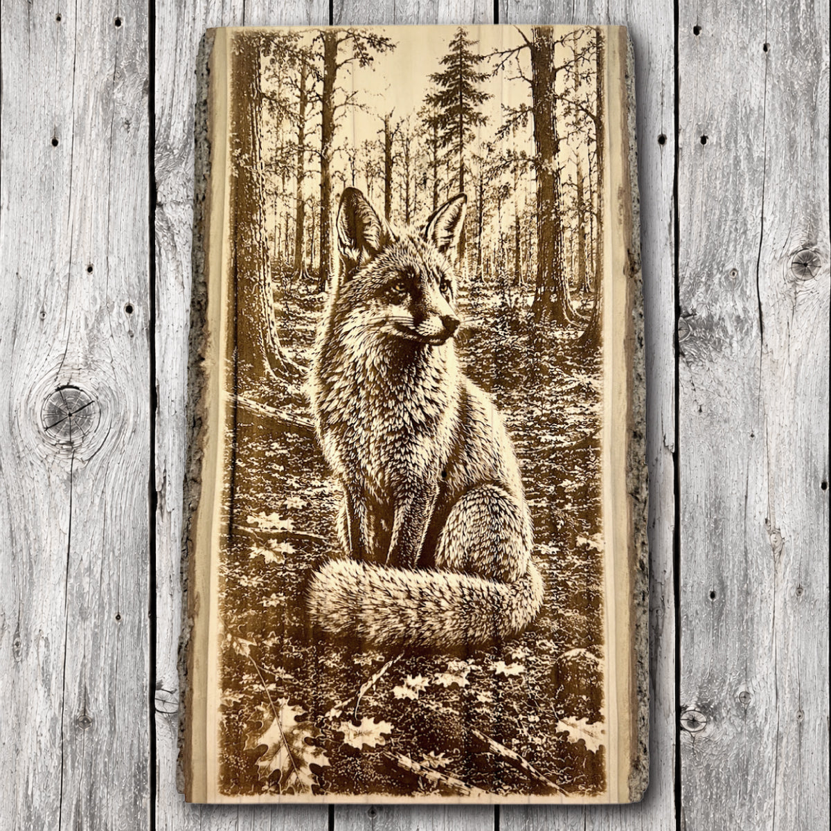 Realistic red fox sitting in a woodland forest surrounded by tall trees and autumn leaves, laser engraved on natural live edge hardwood with rustic bark edges.