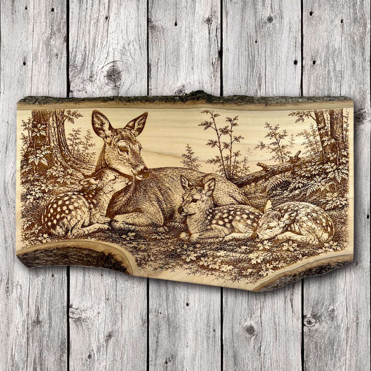 Handcrafted live edge hardwood wall art featuring a detailed laser engraving of a whitetail doe resting with three fawns in a peaceful woodland setting.