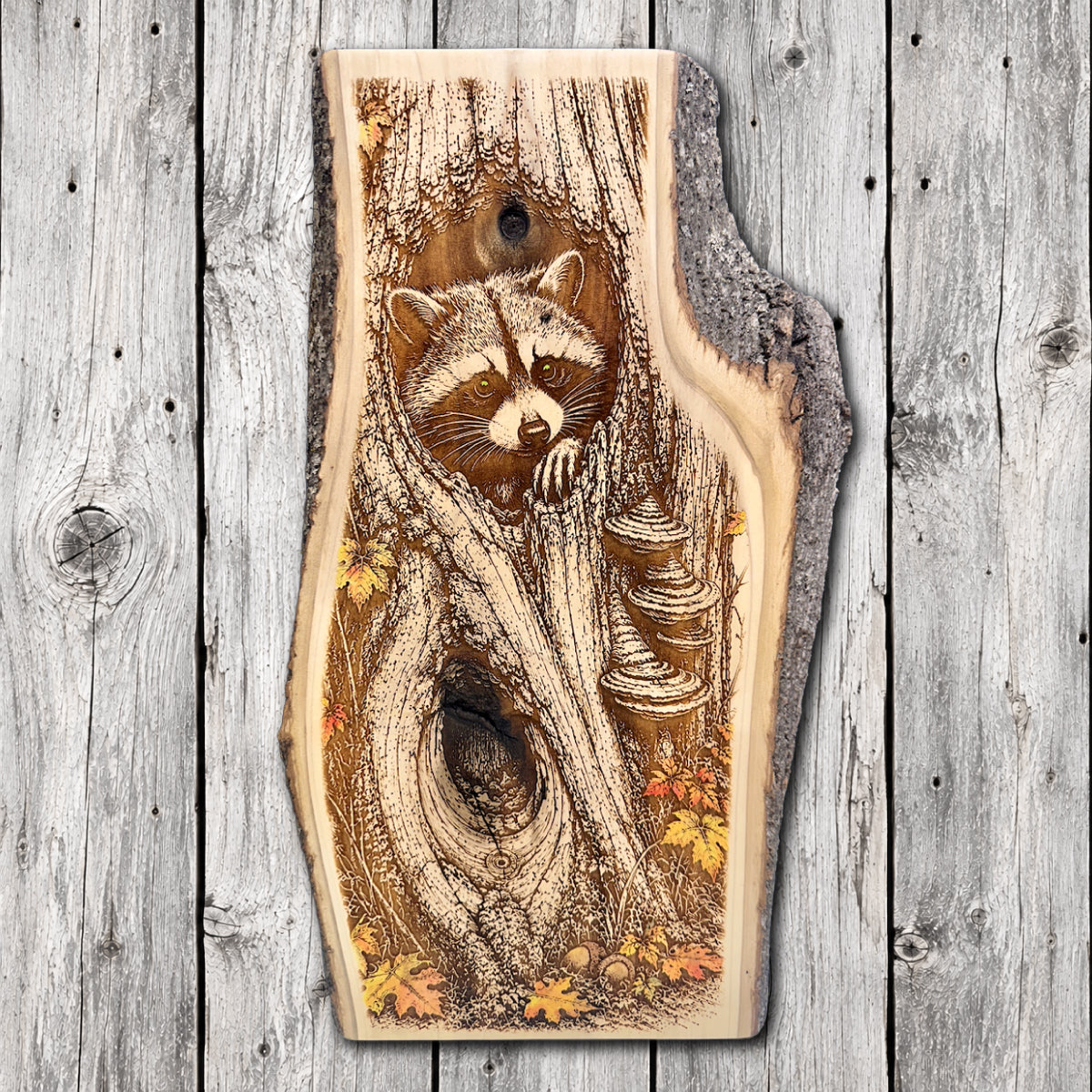 Hand-painted and laser engraved live edge wood wall art featuring a curious raccoon peeking from a hollow tree surrounded by shelf mushrooms, acorns, and colorful autumn leaves.