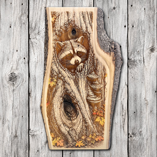 Hand-painted and laser engraved live edge wood wall art featuring a curious raccoon peeking from a hollow tree surrounded by shelf mushrooms, acorns, and colorful autumn leaves.